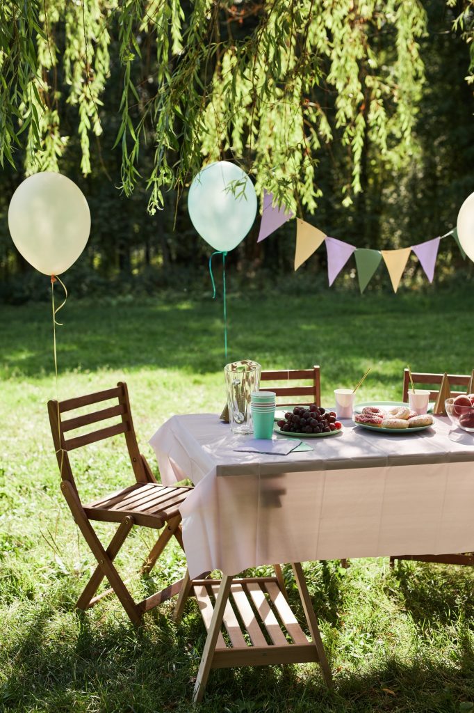 Outdoor Birthday Party Background
